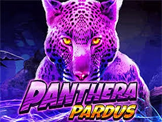 PANTHERA PARDUS