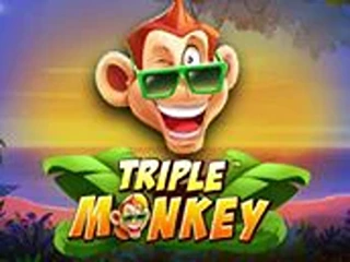 TRIPLE MONKEY